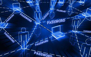 Need Password Management